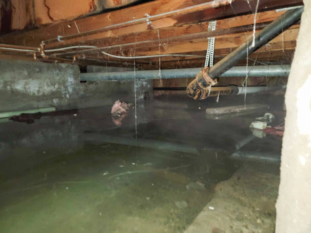 Best Sewage cleanup and water damage restoration  in Chinchilla, PA