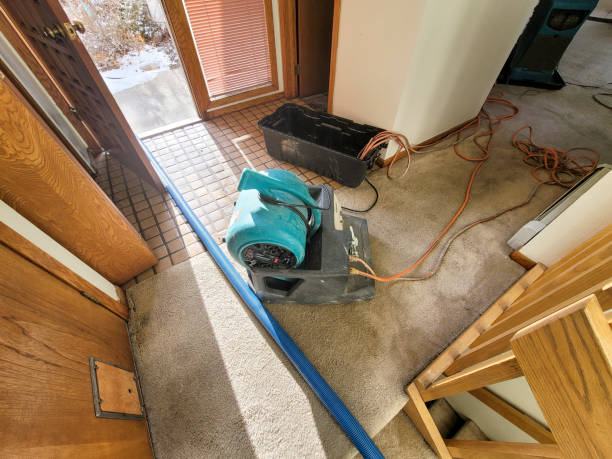 Reliable PA Water damage restoration Solutions