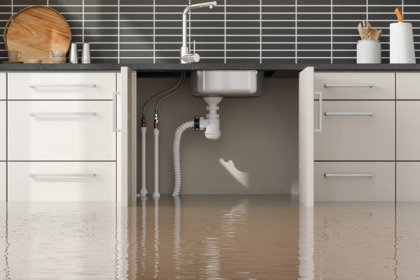 Best Local water damage restoration  in Chinchilla, PA