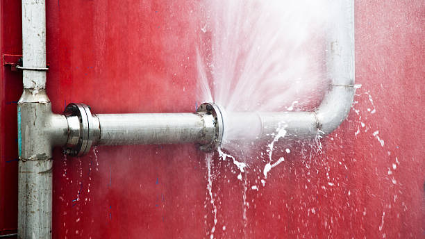 Best Professional water damage repair  in Chinchilla, PA