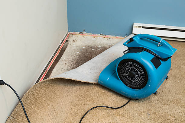 Best Carpet water damage restoration  in Chinchilla, PA